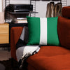 Nigeria Premium Throw Pillow - Nigeria Flag